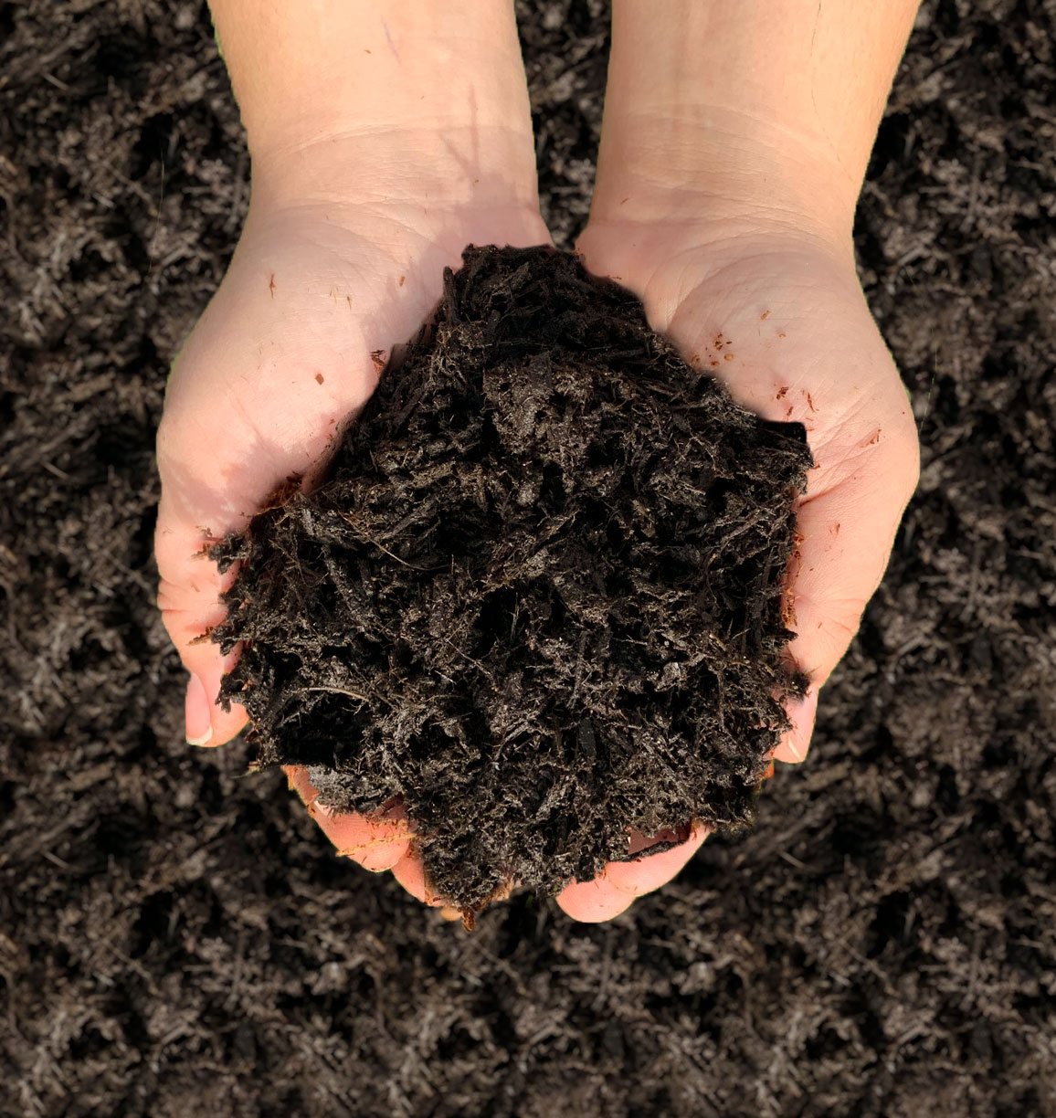 Aged Mulch Augustine Soil & Mulch Ltd.