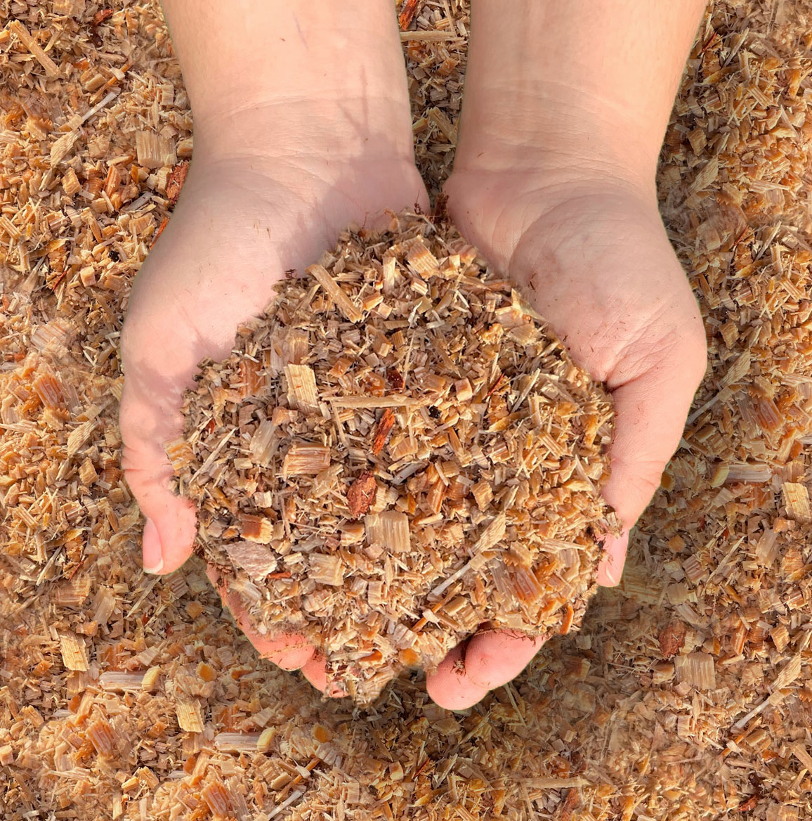 Sawdust Augustine Soil & Mulch Ltd.