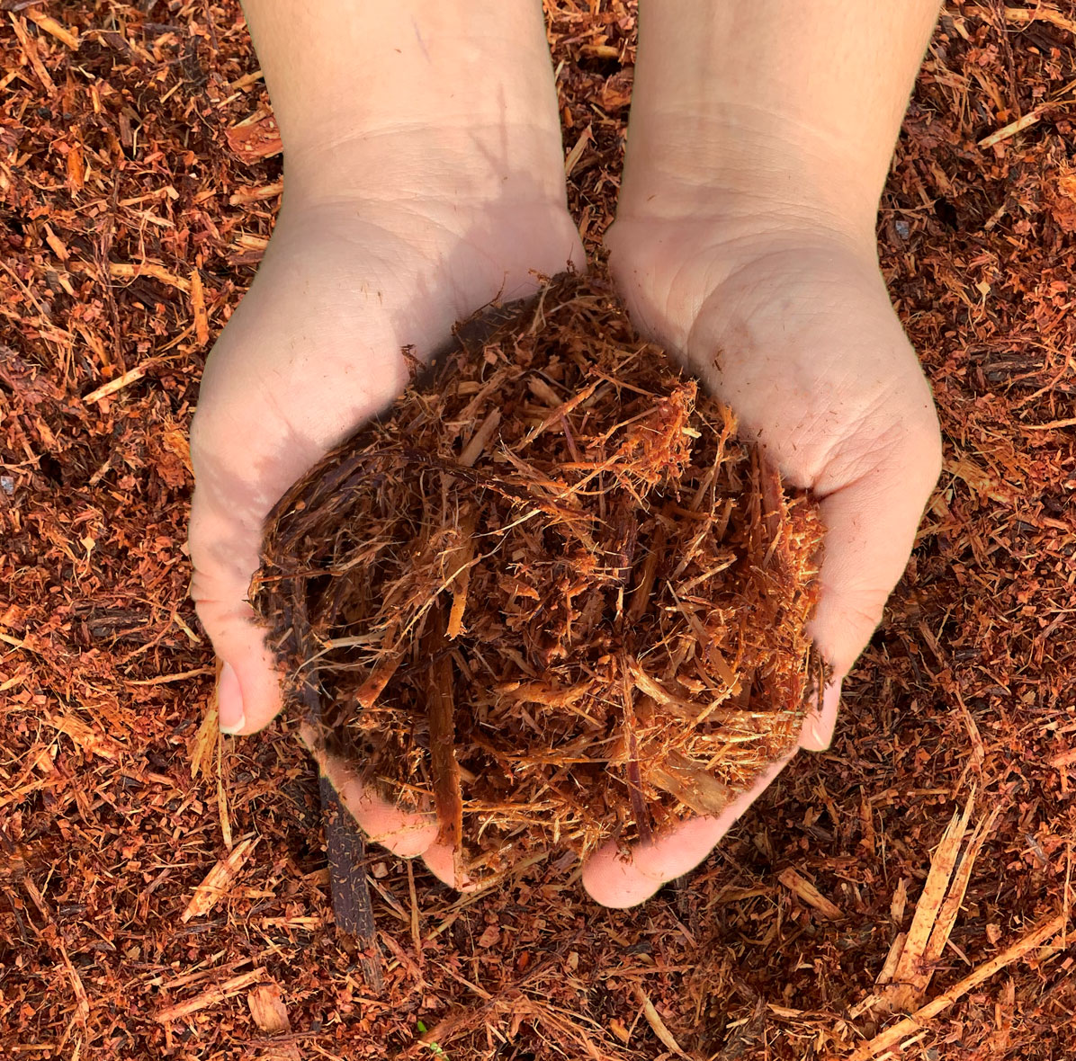 Fir Mulch Augustine Soil & Mulch Ltd.