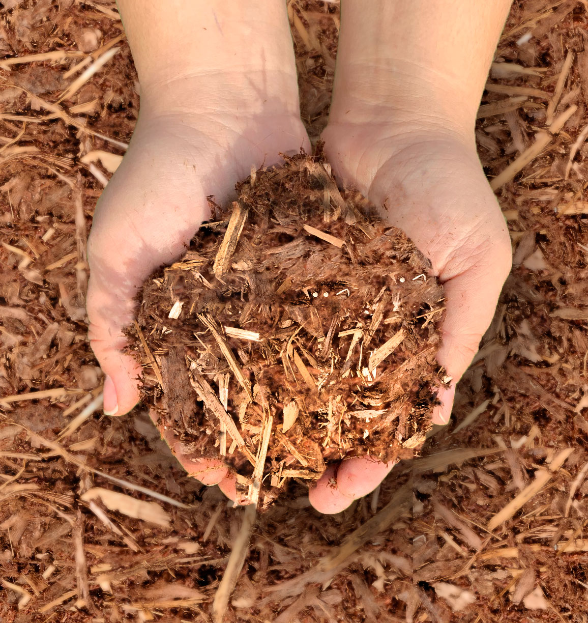 Cedar Hogfuel Augustine Soil & Mulch Ltd.