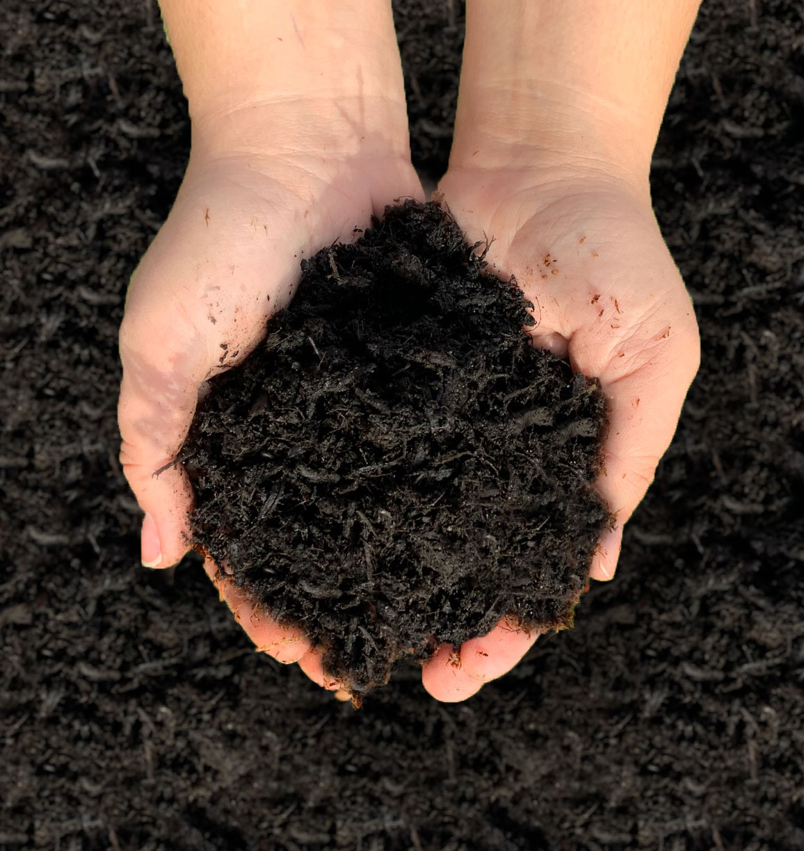 Soil Amender Augustine Soil & Mulch Ltd.