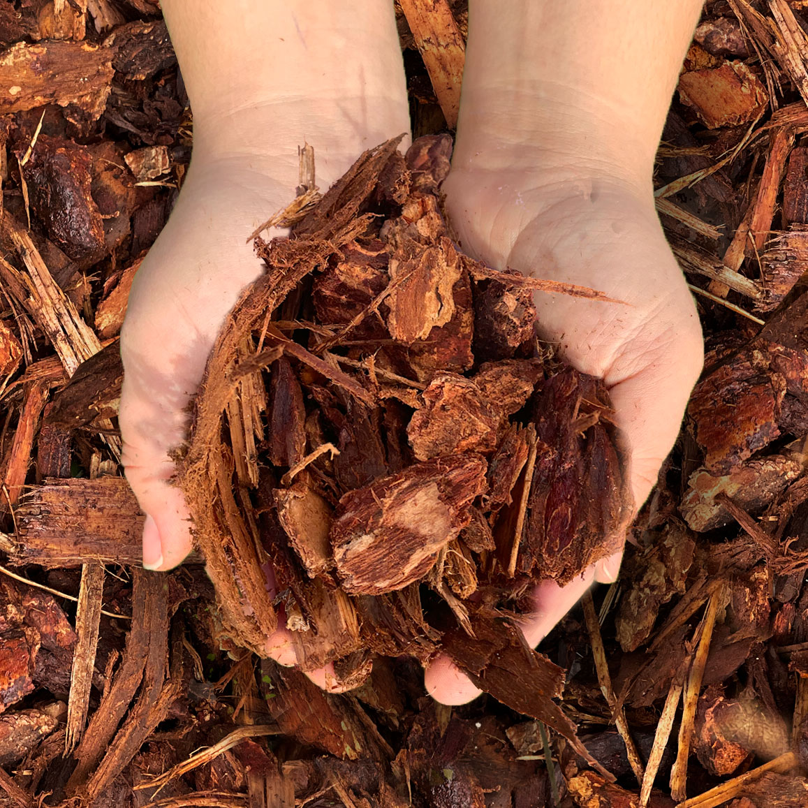 Fir Bark Chunks Augustine Soil & Mulch Ltd.