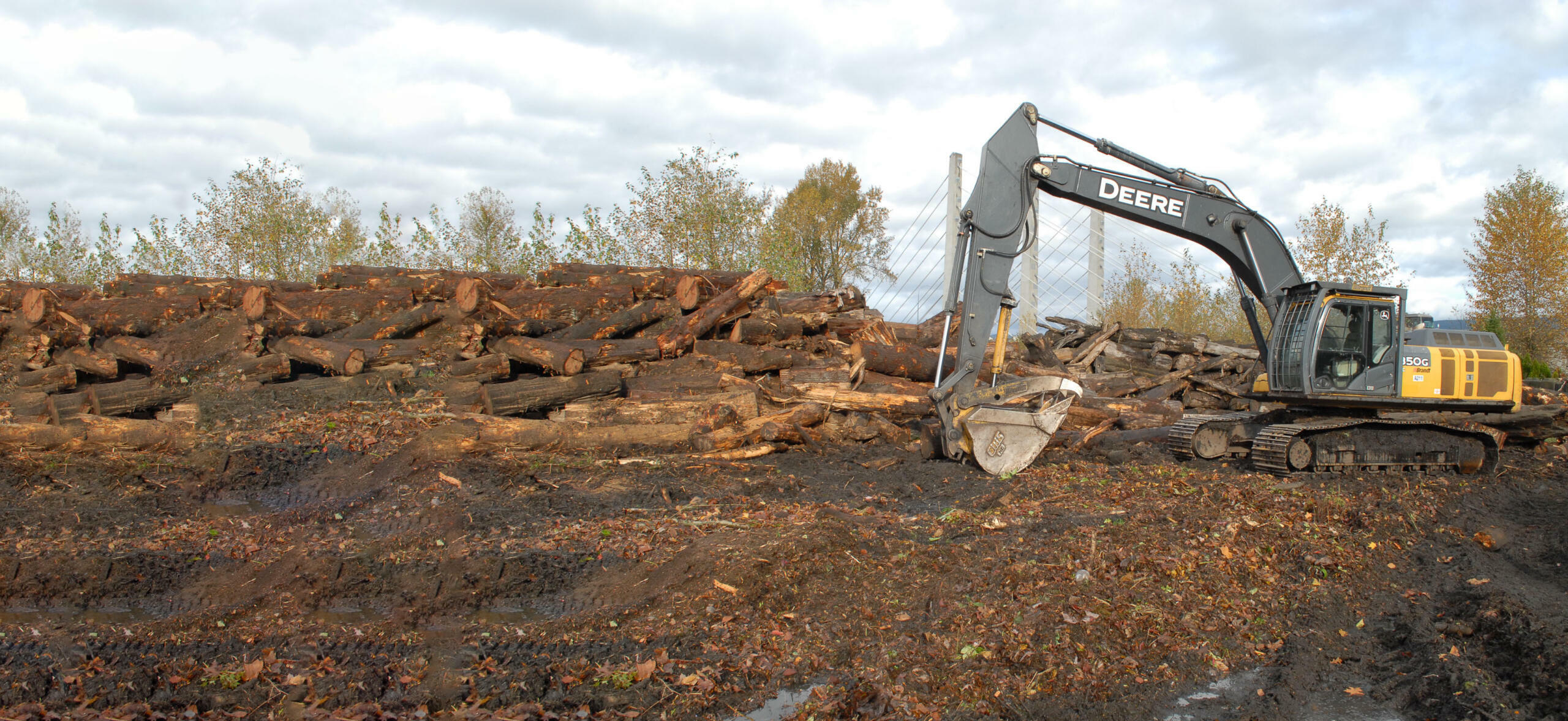 Commercial Land Clearing Augustine Soil & Mulch Ltd.